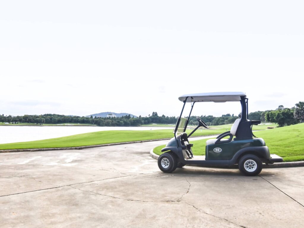 carrito de golf (2)